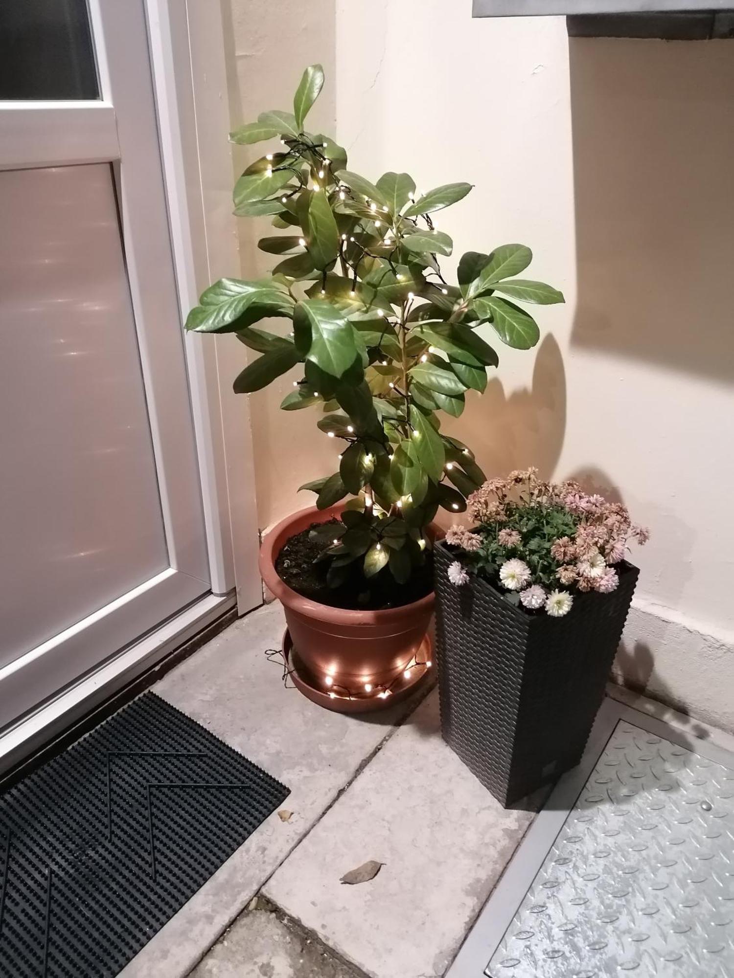 Mohacs Korona Apartman Екстер'єр фото